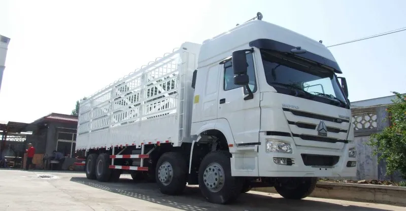 Cargo Truck 6x4 HOWO-7