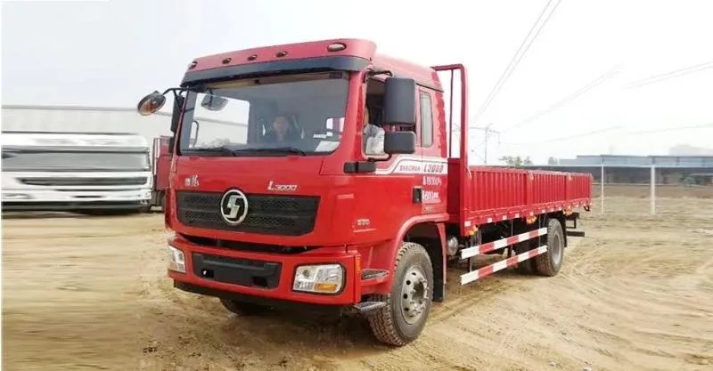 Cargo Truck 4x2 Shacman X3000