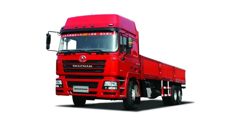 Cargo Truck 6x4 Shacman F3000